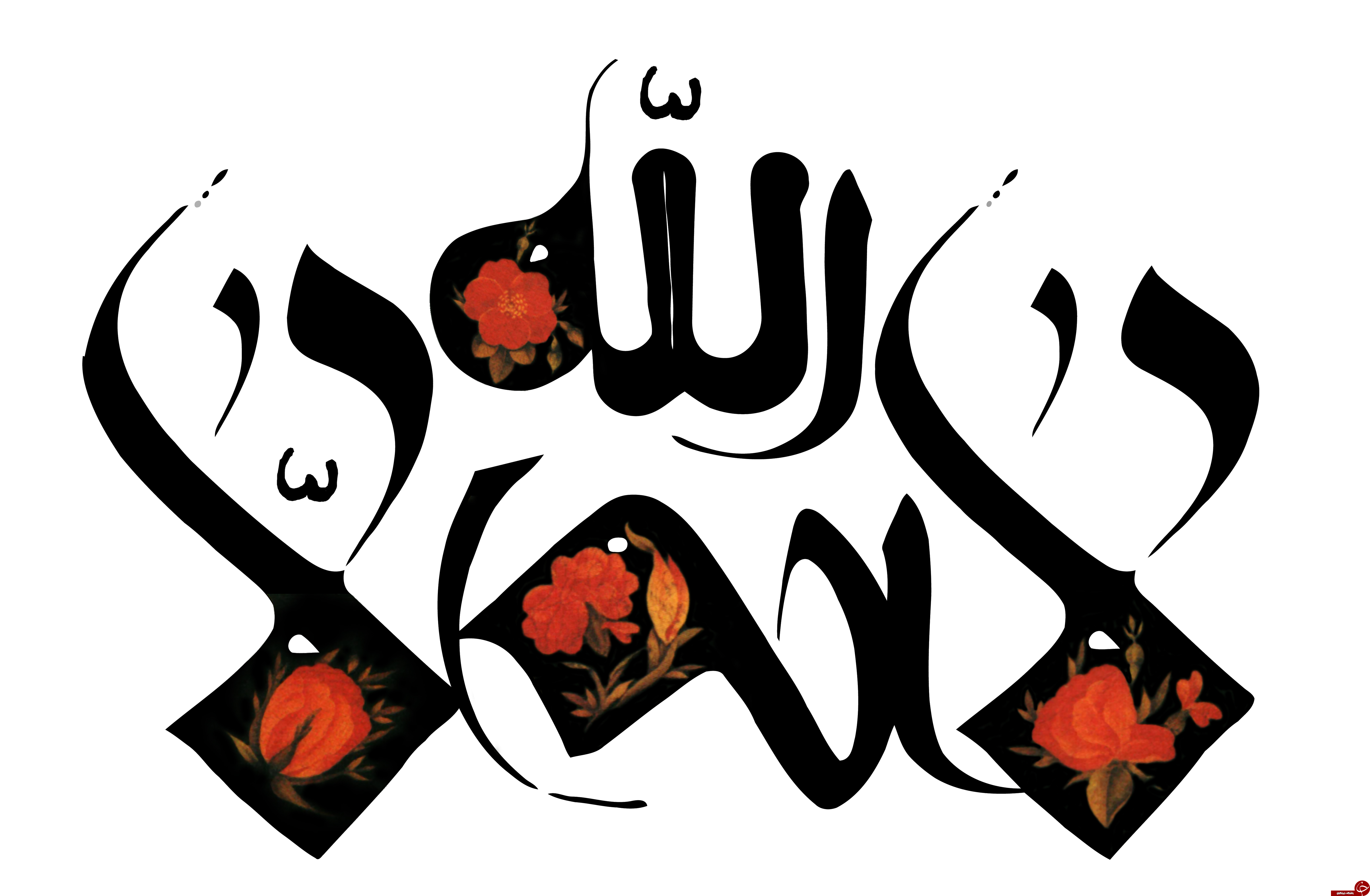 عرفان حضرات چهارده معصوم و پیشنیهٔ عرفان اسلامی و تفاوت آن با دیگر عرفان‌ها