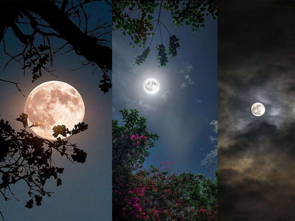 اساسی‌ترین هدف در خلقت شب