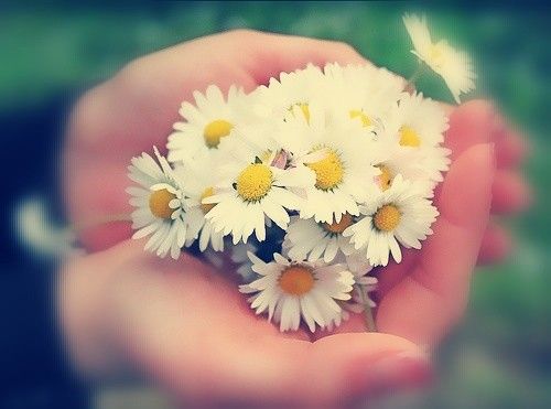 خستگی از عبادت،علم و ثروت و دیگر داشته‌ها نشانه چیست؟