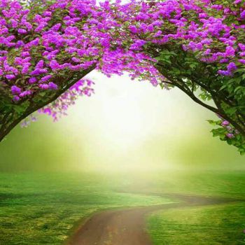 امتحان صدق عشق