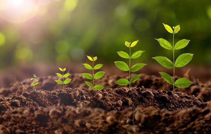 سیر خاص خیرات آسمانی و تاثیر زیست محیط بر اندیشه آدمی