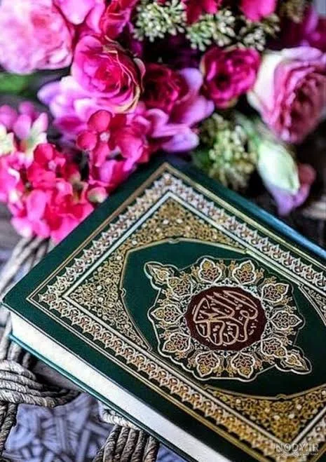 قرآن کریم ؛ کتاب تمامی دانش ها