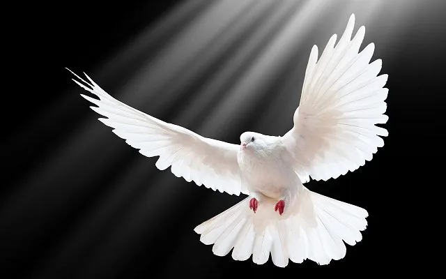 آزادی؛ رکن مهم جامعهٔ ولایی
