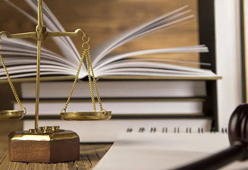 چیستی قانون ولایت